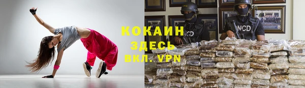 амф Семилуки