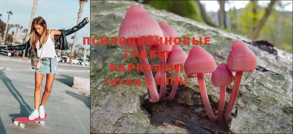 прущий лед Аркадак